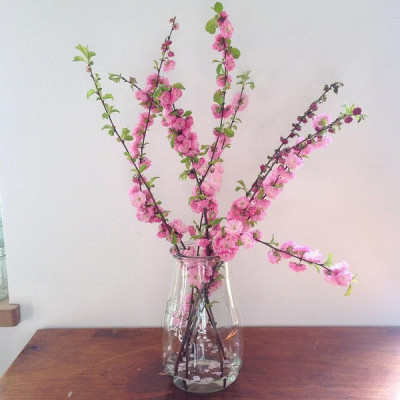 Bocaux en verre WECK corolle 1750ml Ø 100mm, couvercles et joints inclus