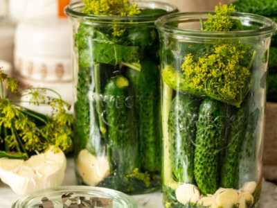 Comment démarrer la fermentation maison en toute sécurité ?